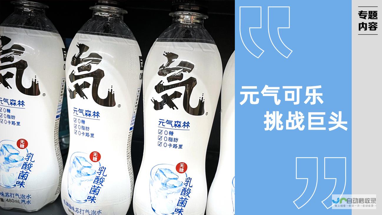 打造引流利器：全方位解读商业网站模板，轻松构建高转化电商平台