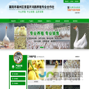 网站截图