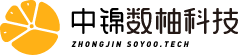数柚网站